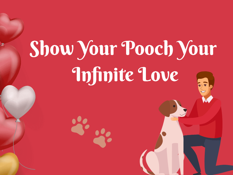 Show-Your-Pooch-Your Infinite-Love